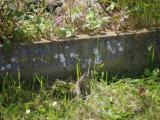 image of grave number 954064